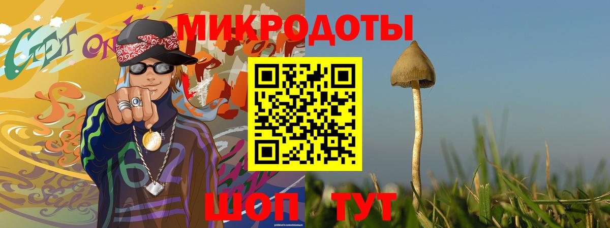 Галлюциногенные грибы Psilocybine cubensis  Вход с VPN  Иваново 